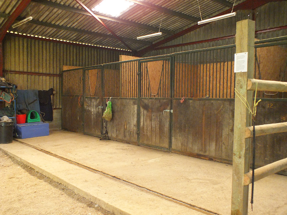 East Sussex Livery Yards, DIY, Grazing, Stables